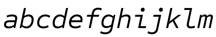 Sometype Mono Italic FONT