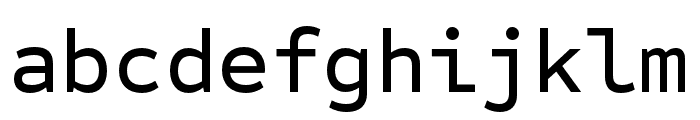 Sometype Mono Medium Font LOWERCASE