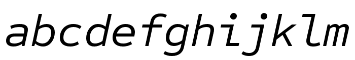 Sometype Mono Regular Italic Font LOWERCASE