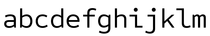 Sometype Mono Regular Font LOWERCASE