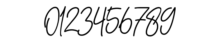 South Signature Font OTHER CHARS