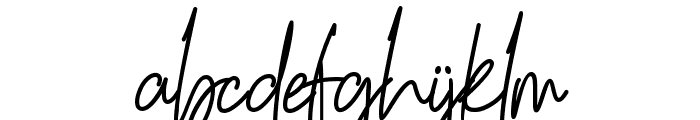 South Signature Font LOWERCASE