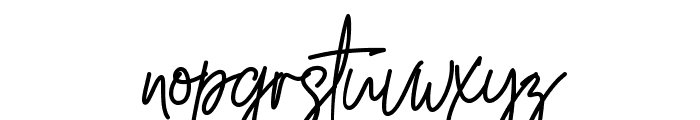 South Signature Font LOWERCASE