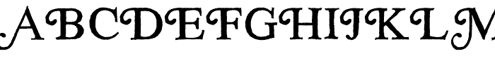 Soft Times Roman Font - What Font Is