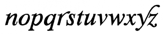 SoftTimes Italic Font LOWERCASE