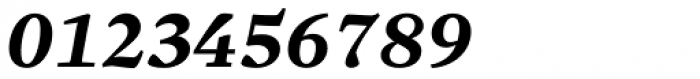 Sole Serif Caption Bold Italic Font OTHER CHARS