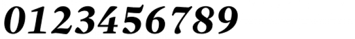 Sole Serif Subhead Bold Italic Font OTHER CHARS