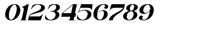 Sora Carnel Italic Font OTHER CHARS