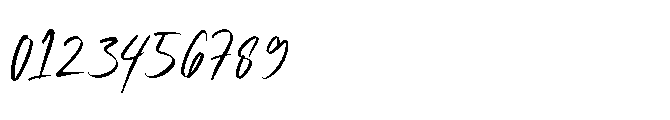Souren Berry Signature Font OTHER CHARS