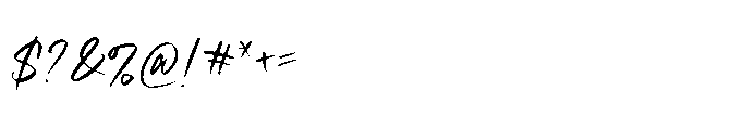 Souren Berry Signature Font OTHER CHARS