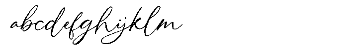 Southwest Partisan FONT