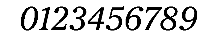 Society BookItalic Font OTHER CHARS