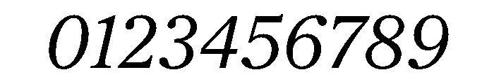 Society Italic Instance Font OTHER CHARS