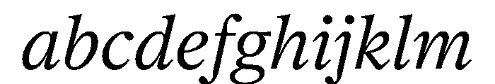 Society Italic Instance FONT