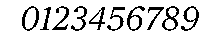 Society Italic Font OTHER CHARS