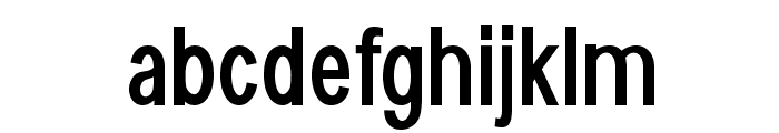 SouthFork-CondensedBold Font LOWERCASE