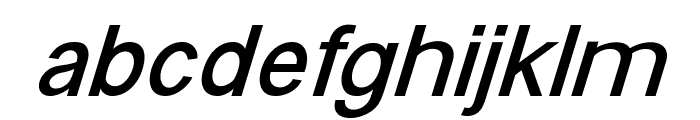 SouthFork-Italic Font LOWERCASE