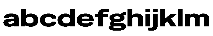 Special Gothic Expanded Bold FONT