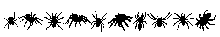 Spider Silhouettes Font OTHER CHARS