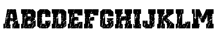 Sports Varsity Regular FONT