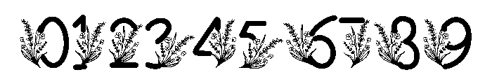 Spring Flowe Font OTHER CHARS