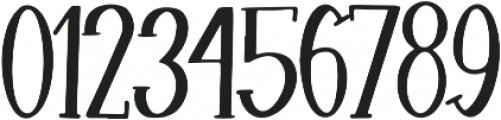 Sparkling Bright Serif otf (400) Font OTHER CHARS