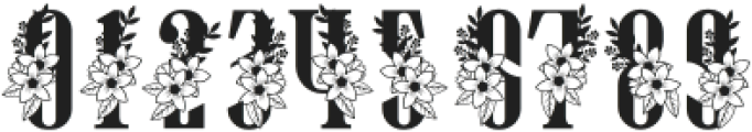 Spring Monogram Regular otf (400) Font OTHER CHARS