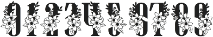 Spring Monogram Regular ttf (400) Font OTHER CHARS