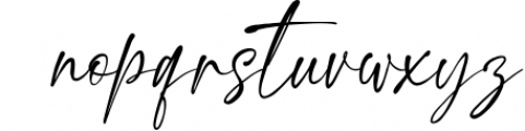 Spectacular Signature Font Font LOWERCASE