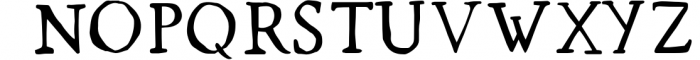 Spring Market - Rustic Serif Font Font UPPERCASE