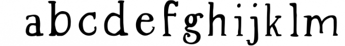 Spring Market - Rustic Serif Font Font LOWERCASE