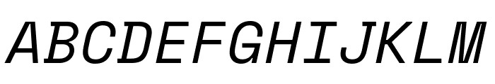 Space Mono Italic Font UPPERCASE