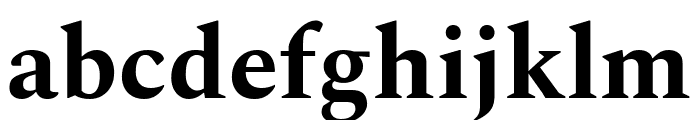 Spectral Bold Font LOWERCASE