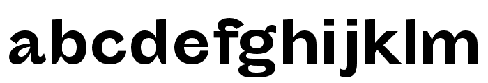 Sporting Grotesque Gras Font LOWERCASE
