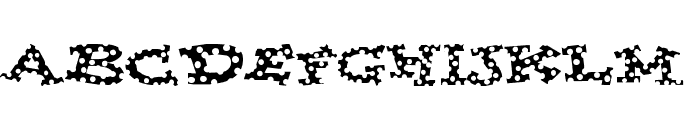 Spotty Font Font LOWERCASE