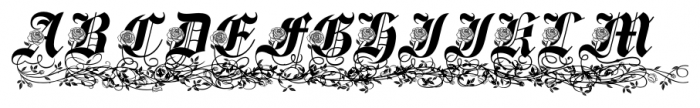 Spanish Rose  Reserve Font UPPERCASE