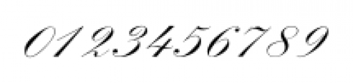 Spencerian Palmer Penmanship Regular Font OTHER CHARS