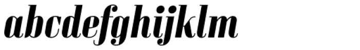 Sperling FY Bold Italic Font LOWERCASE