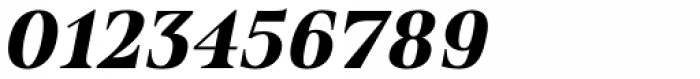 Spitzkant Text Bold Oblique Font OTHER CHARS