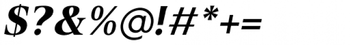 Spitzkant Text Bold Oblique Font OTHER CHARS