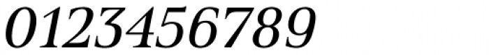 Spitzkant Text Regular Oblique Font OTHER CHARS