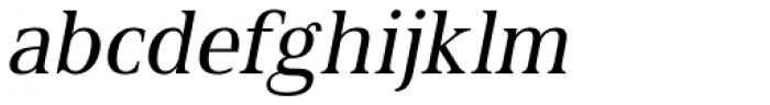 Spitzkant Text Regular Oblique Font LOWERCASE