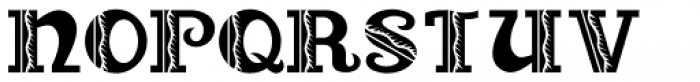 Spring Season JNL  Regular Font LOWERCASE