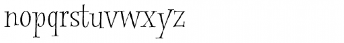 Spry Roman Basic Font LOWERCASE