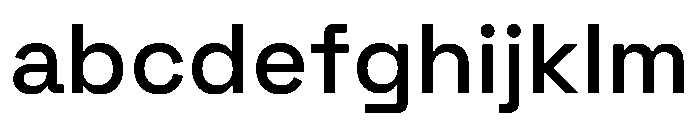 SpaceGrotesk Medium Instance FONT