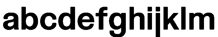Spag Bold Instance FONT