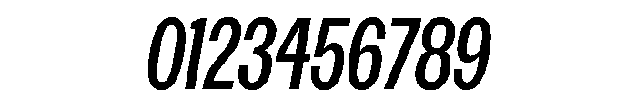 Spent CondItalic Instance Font OTHER CHARS