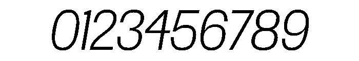 Spent ExLtItalic Instance Font OTHER CHARS