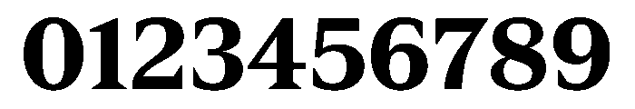 Spiller Serif Bold Font OTHER CHARS