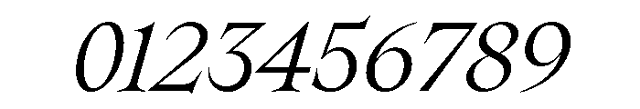SpyreEpoch BookItalic Font OTHER CHARS
